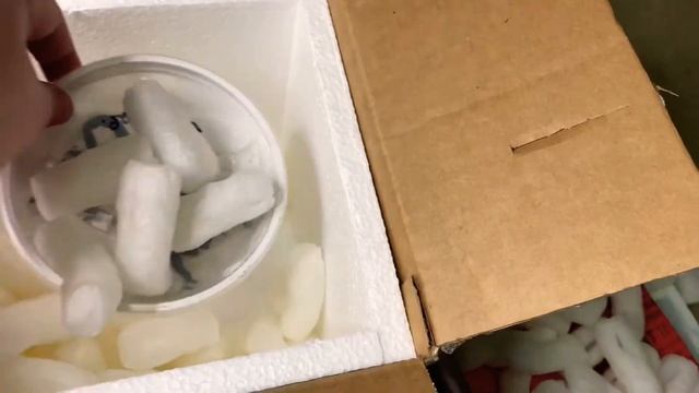 Emperor Scorpion (Pandinus imperator) Unboxing смотреть онлайн