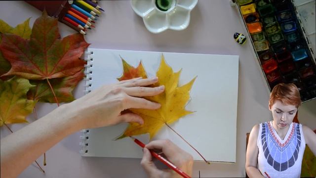 Рисование с натуры "Осенний кленовый лист". Видеоурок для детей. смотреть онлайн