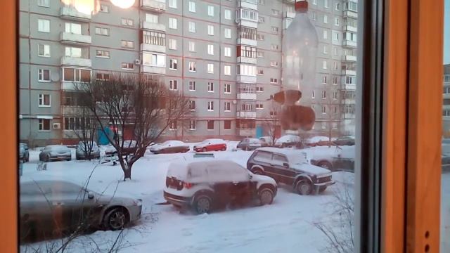 Воробьи зимой смотреть онлайн