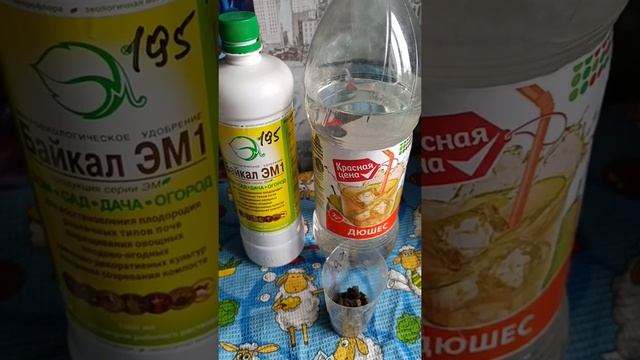 Готовим удобрение для цветов в домашних условиях. Кроме минералки растениям нужна и органика. смотреть онлайн