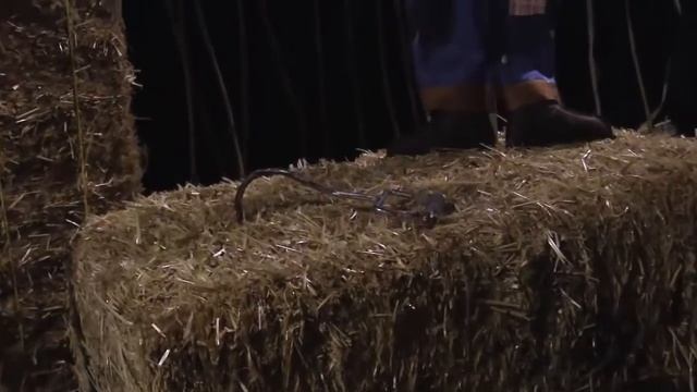 Взрослая маска Тыква California Costumes, k60278 смотреть онлайн