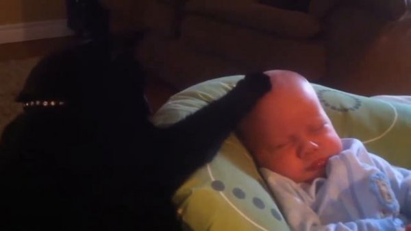 кошка ласкает ребенка