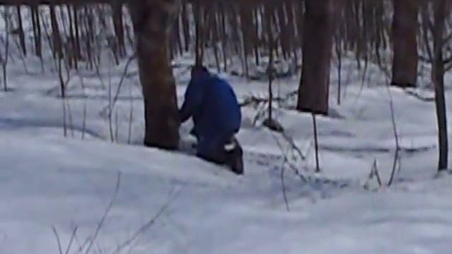 пришлось лебедится смотреть онлайн