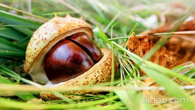 Не стыдитесь зажечь свечу