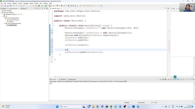 Java SE: Collection Framework Vector Example смотреть онлайн