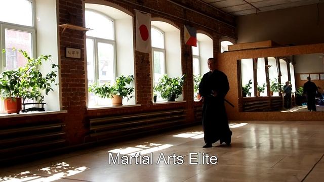 Demonstration 34: III Open All Style Conference Iaido смотреть онлайн