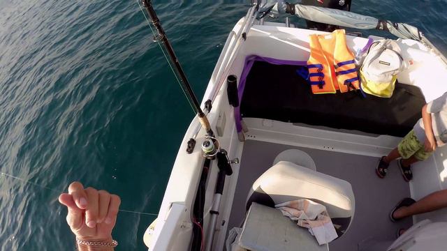 Рыбалка в Сочи. Дикий луфарь и юный рыбак 6 лет смотреть онлайн