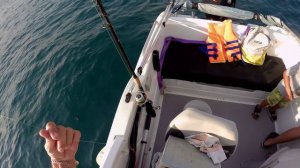 Рыбалка в Сочи. Дикий луфарь и юный рыбак 6 лет