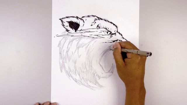 EPIC MR.BEAST Sketch Tutorial смотреть онлайн