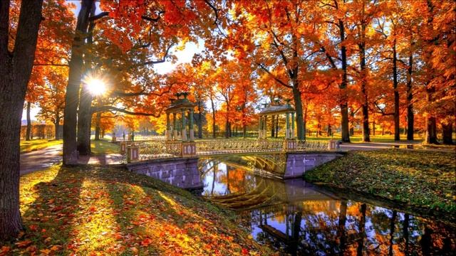 Прощание с летом. Нежная лирическая мелодия Вячеслава Моцардо