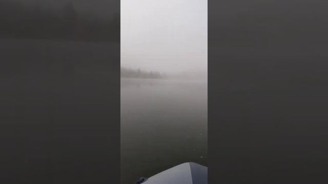 Мотор СПС на лодке Флагман игла 420 смотреть онлайн