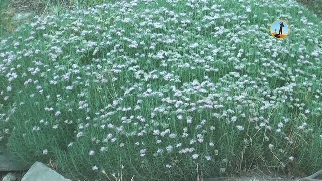 Поход на самый красивый водопад Туркменистана смотреть онлайн