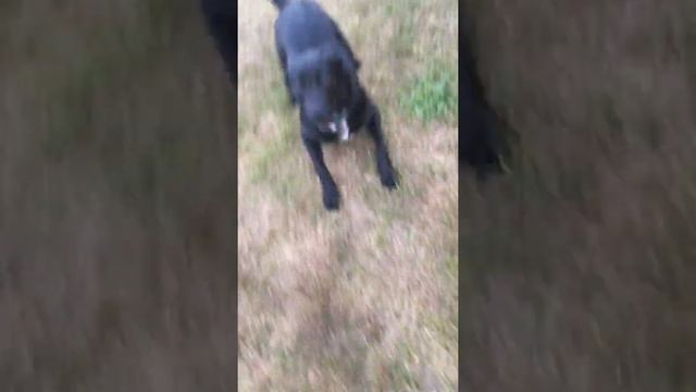 Cracker Jack 1 смотреть онлайн