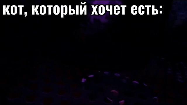 кот, который хочет есть: смотреть онлайн