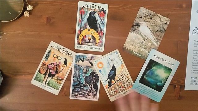 Imbolc Tarot and Oracle Layout ✨Tarot Tips and Tricks смотреть онлайн