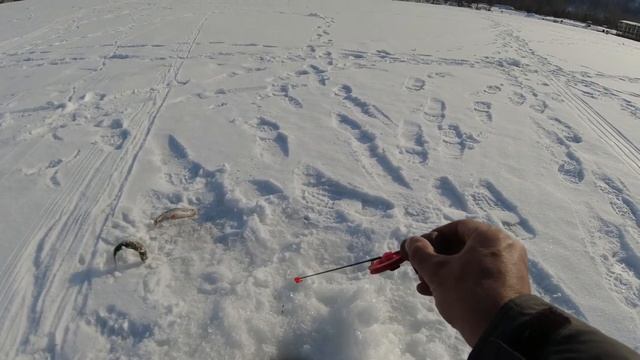 Залив под трамплином