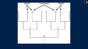 Типы эволюционного изменения. Главные направления эволюции