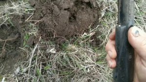 Просто коп 2021. показал зрителям настоящий скифский курган.