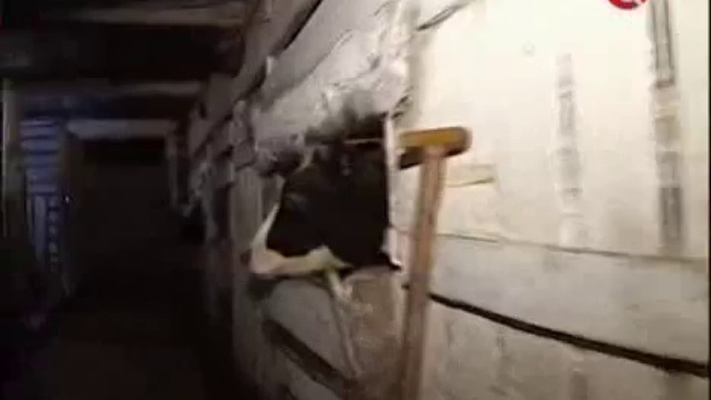 Борьба с малым бизнесом