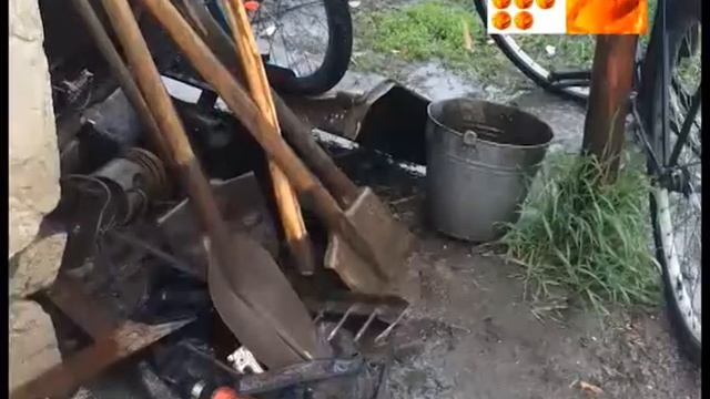 В центре внимания дачи смотреть онлайн