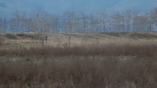 Этот человек точно знает где есть рыба. смотреть онлайн