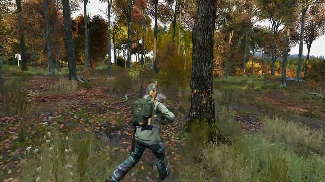 DayZ 4k GTX 1080 ti смотреть онлайн