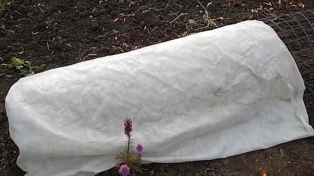 Как сделать прочный каркас для укрытия роз на зиму. смотреть онлайн