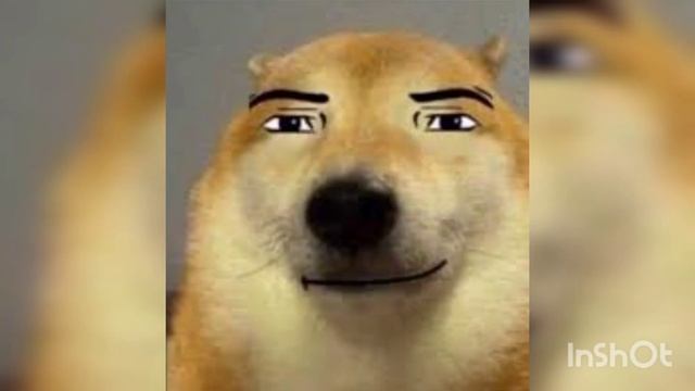 Evolution Of Man Face Roblox смотреть онлайн