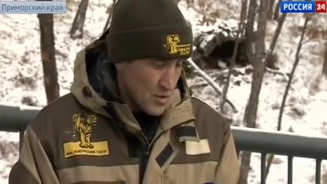Приключение Тимура и Амура смотреть онлайн