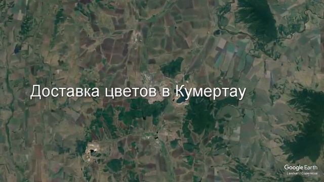 Доставка цветов в Кумертау - Заказ букетов от компании Скорая подарочная помощь смотреть онлайн