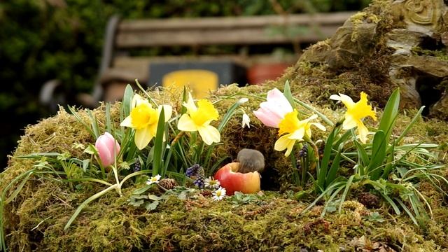 the spring flower garden смотреть онлайн