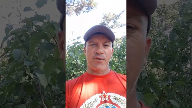 СССР стишок. Лето 7528 смотреть онлайн
