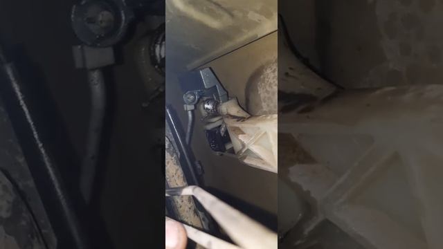 Домашний Перевоплощение