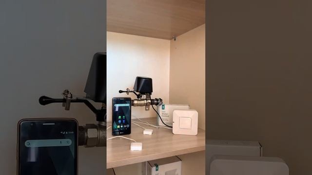 Защита от протечек воды в умном доме Livicom