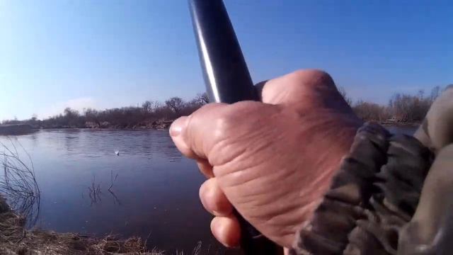 За ельцом на Куду смотреть онлайн