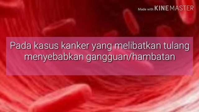 JUS BUAH BIT ENAK DAN MENYEHATKAN | ANTI ANEMIA | Materi Anemia | NS Veni смотреть онлайн