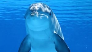 Морские обитатели. Для детей. Развивающее видео.