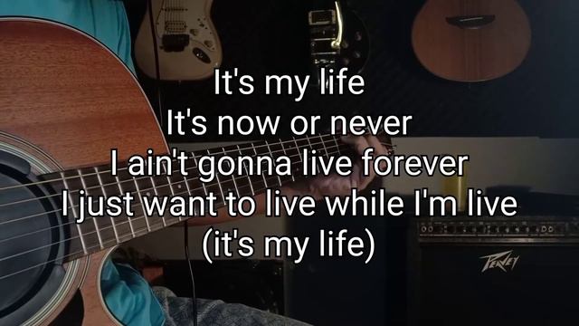 BON JOVI | It's My Life | Acoustic Karaoke | #bonjovi #itsmylife #bonjovicover @jendelaputih447 смотреть онлайн