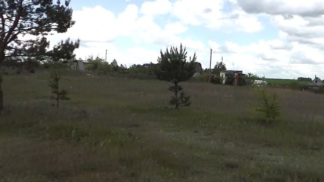 Дача поле смотреть онлайн