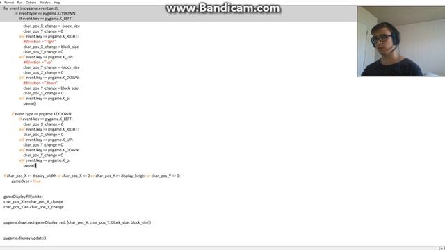 stopping movement - pygame - python смотреть онлайн