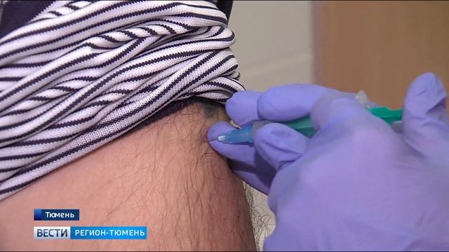 Клещи покусали в Тюменской области 700 человек смотреть онлайн