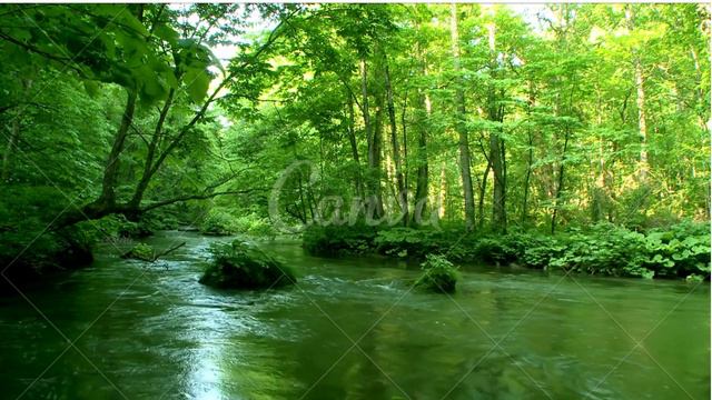 Suy Niệm Lời Chúa Chúa Nhật I Mùa Chay Năm B Lm Giuse Nguyễn Văn Toanh смотреть онлайн