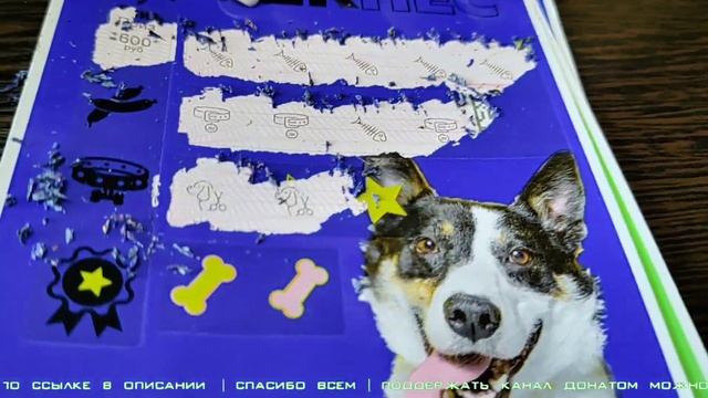 ДЖЕККОТ и ДЖЕКПЁС. МОМЕНТАЛЬНАЯ ЛОТЕРЕЯ. смотреть онлайн