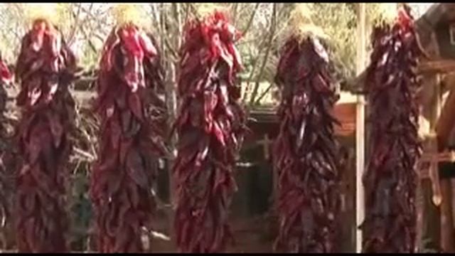 Las Cruces New Mexico - Tourism - Short Version