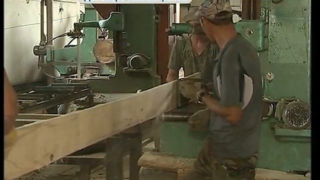 В Дальнереченском районе открылась официальная пилорама смотреть онлайн