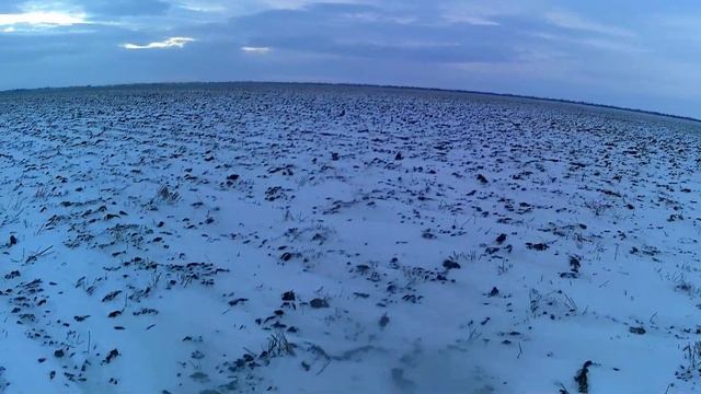 Охота на зайца, Новогодний Косой.