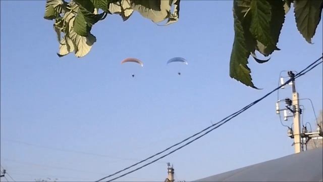 Для них главный подарок - небо и солнце! смотреть онлайн