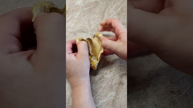 сажаем манго дома, часть первая смотреть онлайн