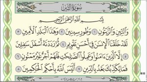 Коран. Сура "Ат-Тин" № 95. Чтение. #коран #намаз #таджвид