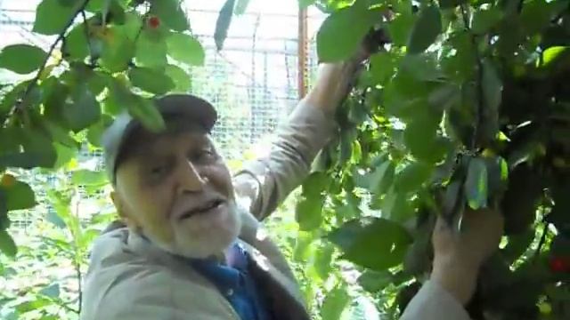 Дроздов Николай Николаевич приглашает в "Тайган" смотреть онлайн